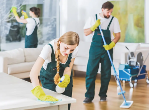 window cleaning services